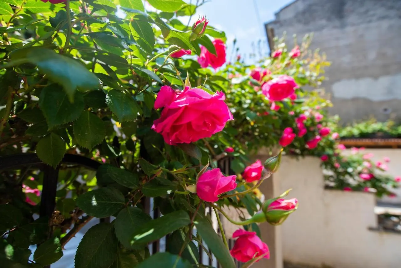 Art Studios Elsor Burgas Guest house